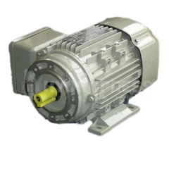 Silnik elektryczny łapowo - kołnierzowy-ac-motoren-1-600x600.png