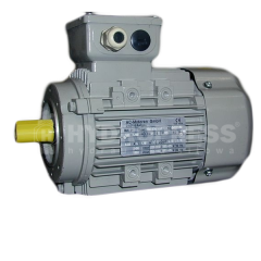  Silnik elektryczny łapowo - kołnierzowy -ac-motoren2-600x600.png